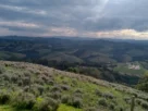 Paisagem de Cunha SP com montanhas vista do Lavandário