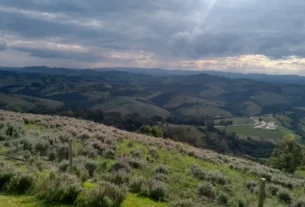 Paisagem de Cunha SP com montanhas vista do Lavandário